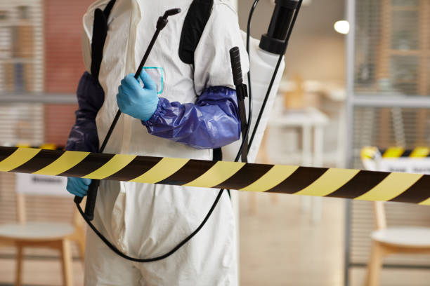 Professional Odor Removal technician working in Carson City, MI