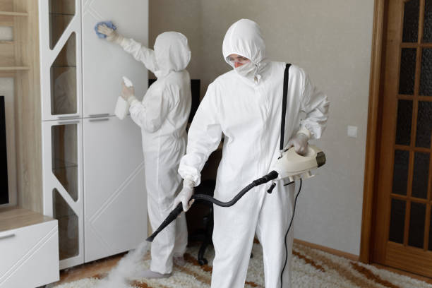 24/7 Emergency Odor Removal experts in Carson City, MI